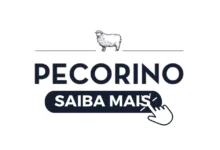 Restaurante Pecorino