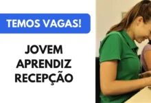 Jovem Aprendiz Recepção