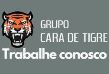 Grupo Cara de Tigre vagas de emprego