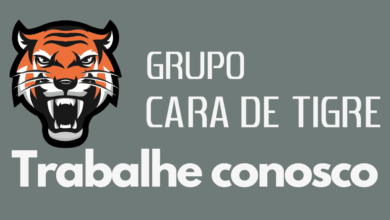 Grupo Cara de Tigre vagas de emprego