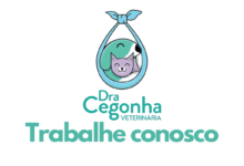 Dra. Cegonha Veterinária vagas de emprego