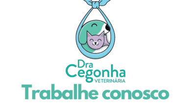 Dra. Cegonha Veterinária vagas de emprego