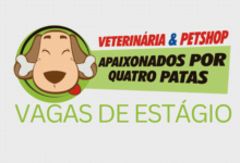 Imagem da empresa Apaixonados Por Quatro Patas, a mesma está com vagas de estágio abertas!