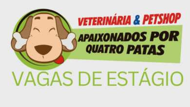 Imagem da empresa Apaixonados Por Quatro Patas, a mesma está com vagas de estágio abertas!