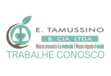 E Tamussino & Cia Ltda