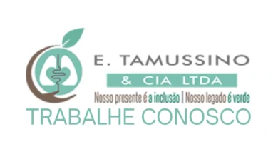 E Tamussino & Cia Ltda