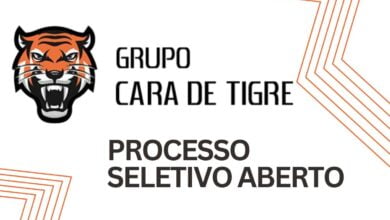 Imagem da empresa Grupo Cara de Tigre, a mesma etá com processo seletivo aberto