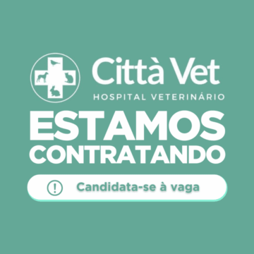 Hospital Veterinário Città Vet