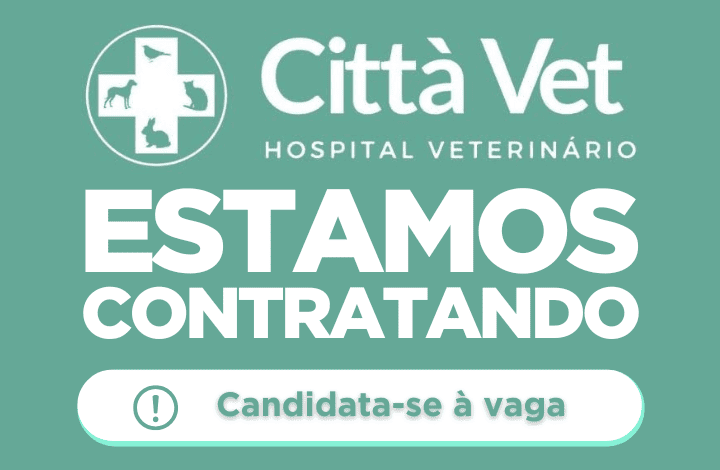 Vagas de emprego no Hospital Veterinário Città Vet