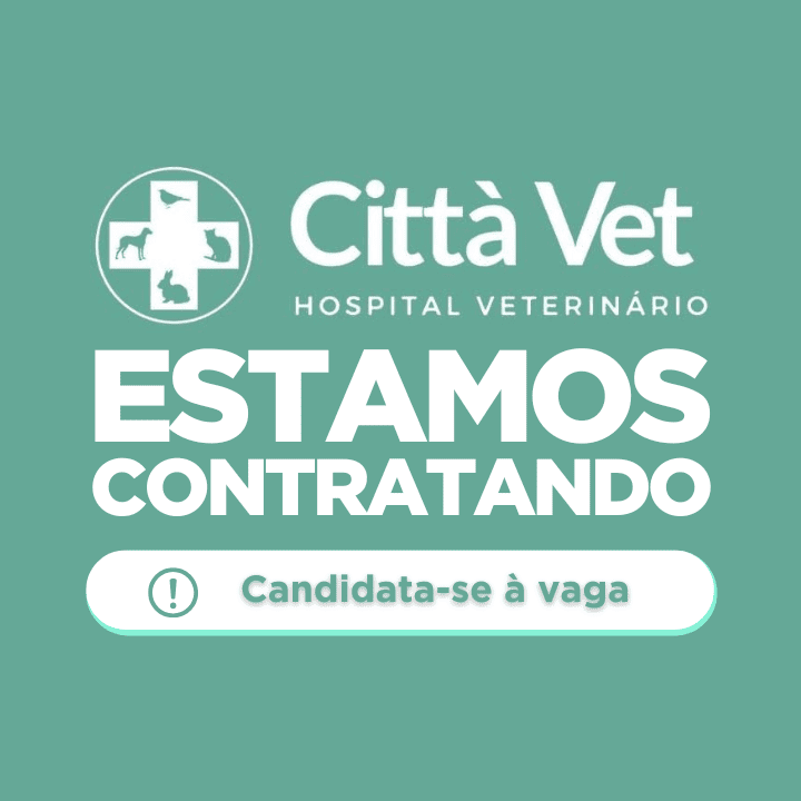 Vagas de emprego no Hospital Veterinário Città Vet