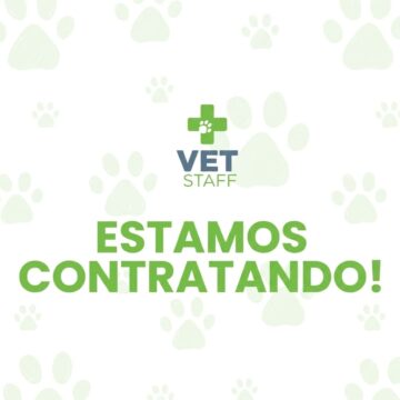 Vet Staff