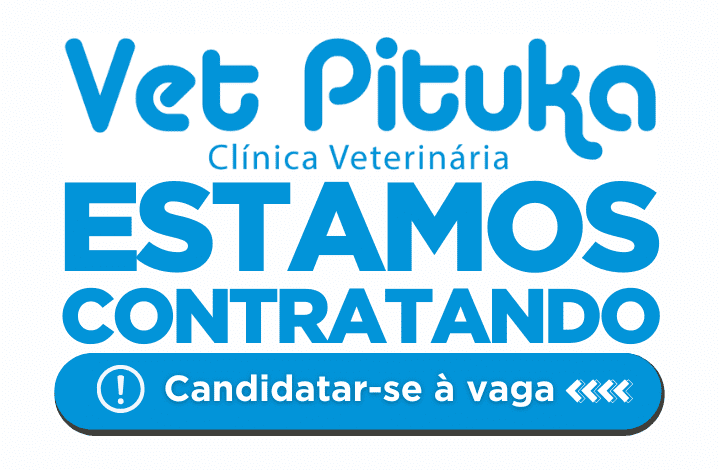 Vagas de emprego na empresa Vet Pituka