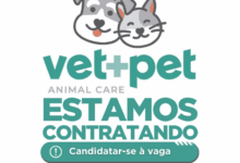 Recepcionista - Vet Pet Clinica Veterinaria - Campos dos Goytacazes/RJ 4 Vagas de emprego na Vet Pet Clinica Veterinaria