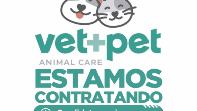 Vagas de emprego na Vet Pet Clinica Veterinaria